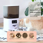 CURAPETS Smart 5L Feeder with HD Camera