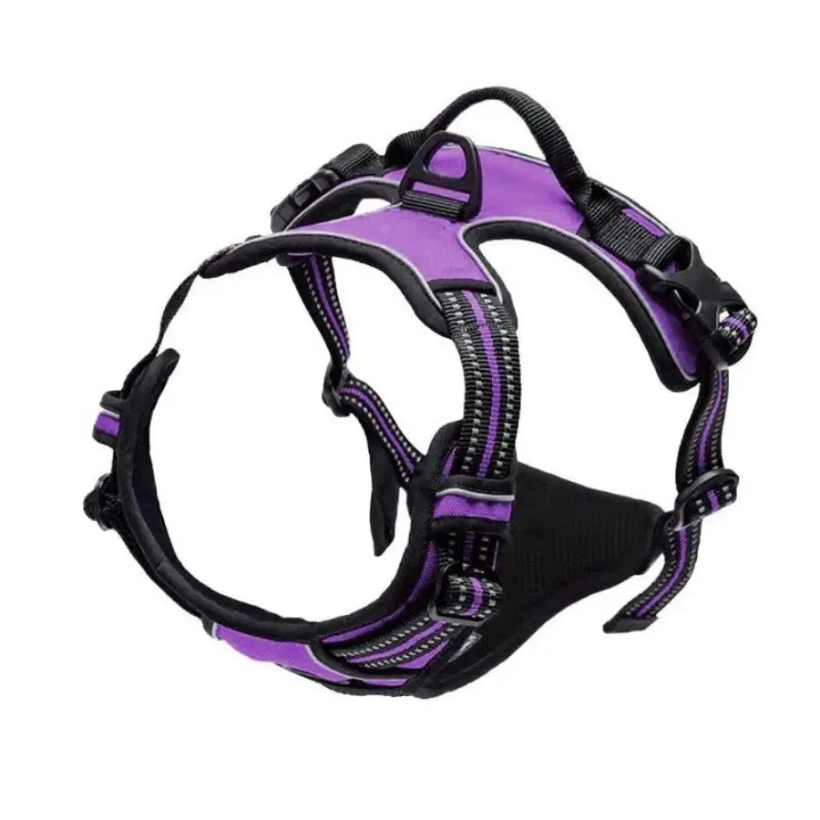 CURAPETS Leather Vest Harness & Leash Set