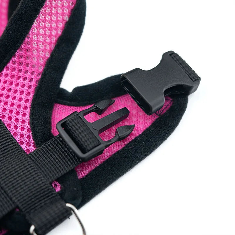 CURAPETS AirLite Summer Pet Harness & Leash Set