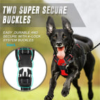 CURAPETS Leather Vest Harness & Leash Set