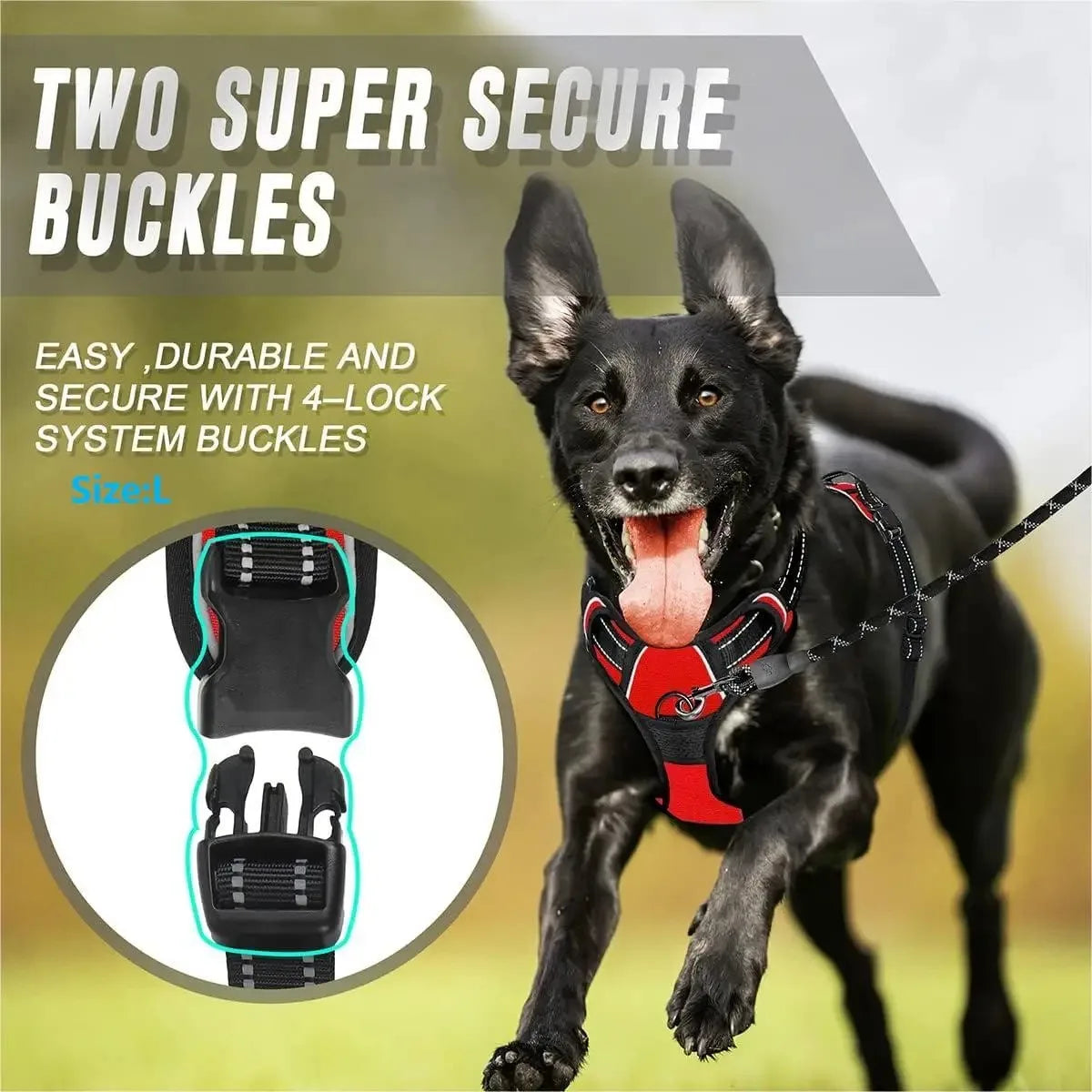 CURAPETS Leather Vest Harness & Leash Set
