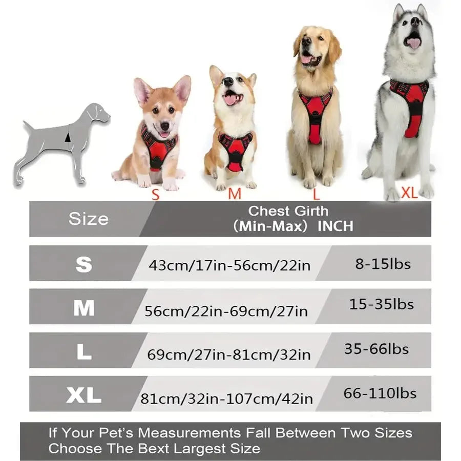 CURAPETS Leather Vest Harness & Leash Set