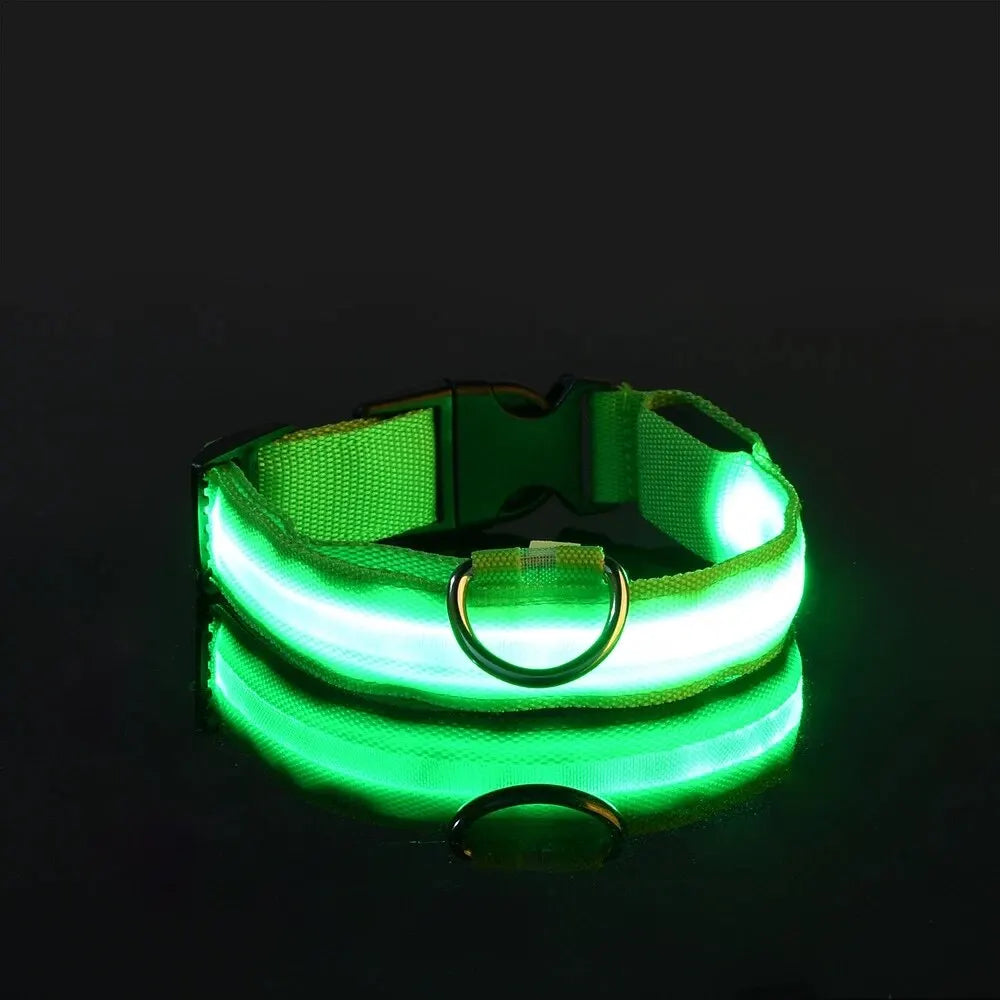 CURAPETS Luminous LED Night Safety Collar