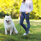 CURAPETS Hands-Free Running Dog Leash