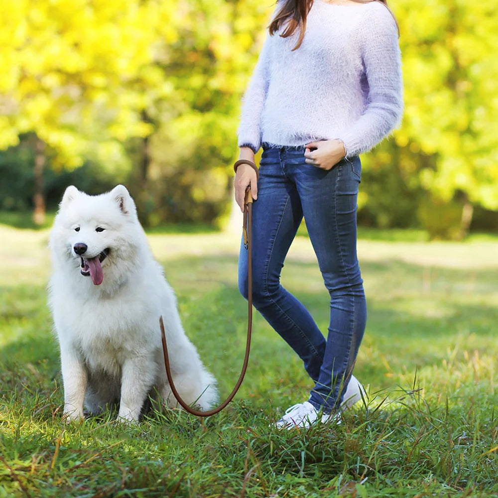 CURAPETS Hands-Free Running Dog Leash
