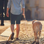 CURAPETS P-Shape Hands-Free Dog Leash