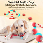 CURAPETS Smart Rolling Interactive Pet Ball