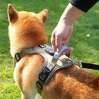 CURAPETS Airtag-Ready Reflective Dog Harness Set