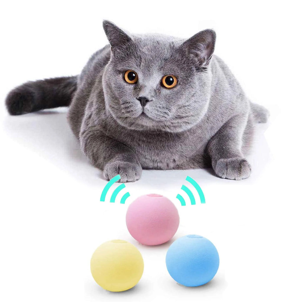 CURAPETS Smart Sounding Catnip Ball Toy