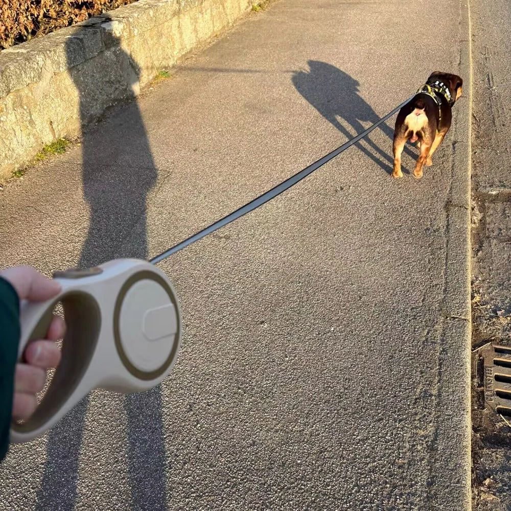CURAPETS 8m Retractable Training Dog Leash