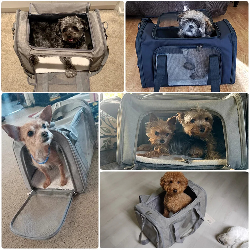 CURAPETS Claw-Defense Airline Pet Carrier