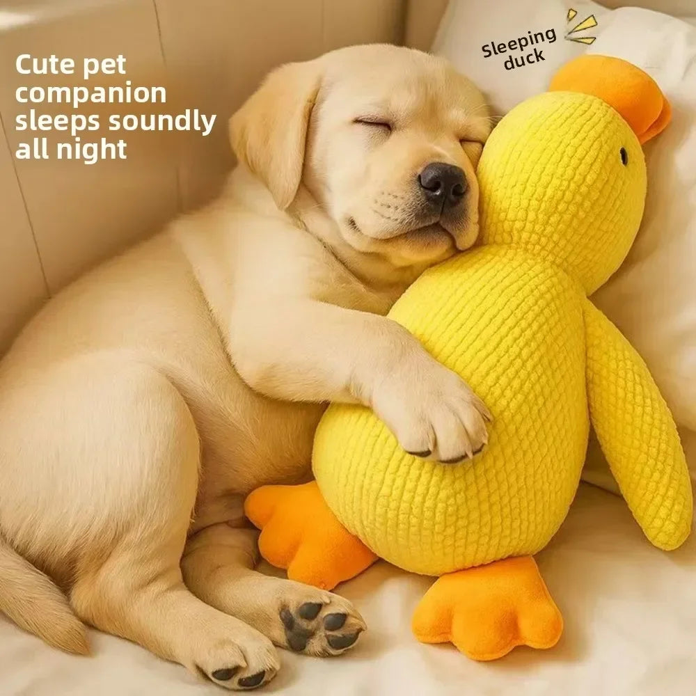 CURAPETS Calming Duck Plush Dog Toy