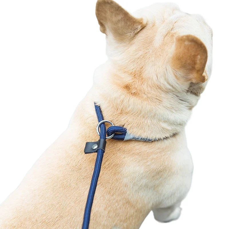 CURAPETS Braided Slip Rope Training Leash