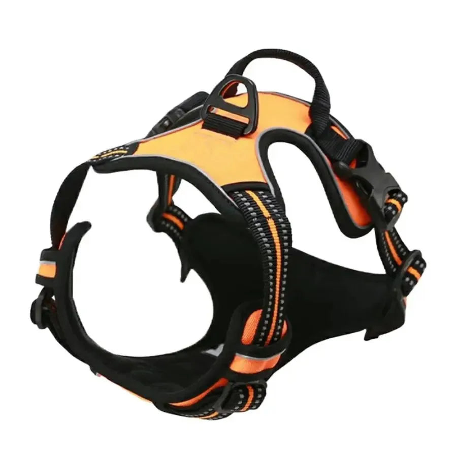 CURAPETS Leather Vest Harness & Leash Set