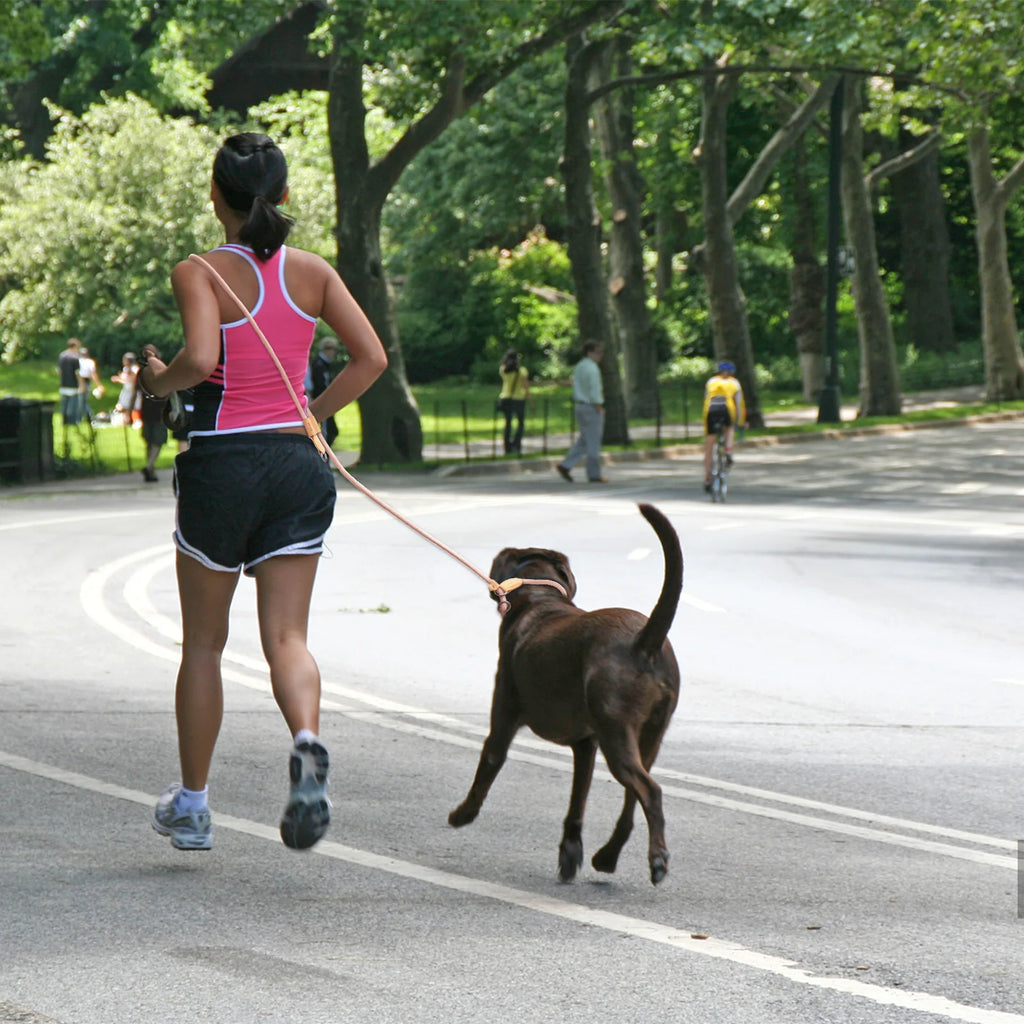 CURAPETS P-Shape Hands-Free Dog Leash