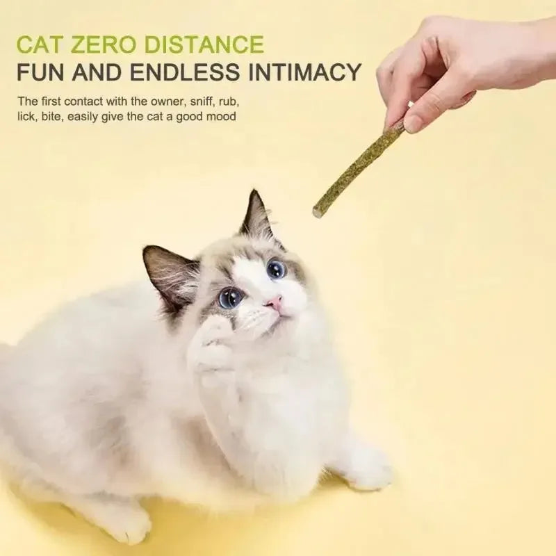CURAPETS Natural Silvervine Cat Chew Sticks