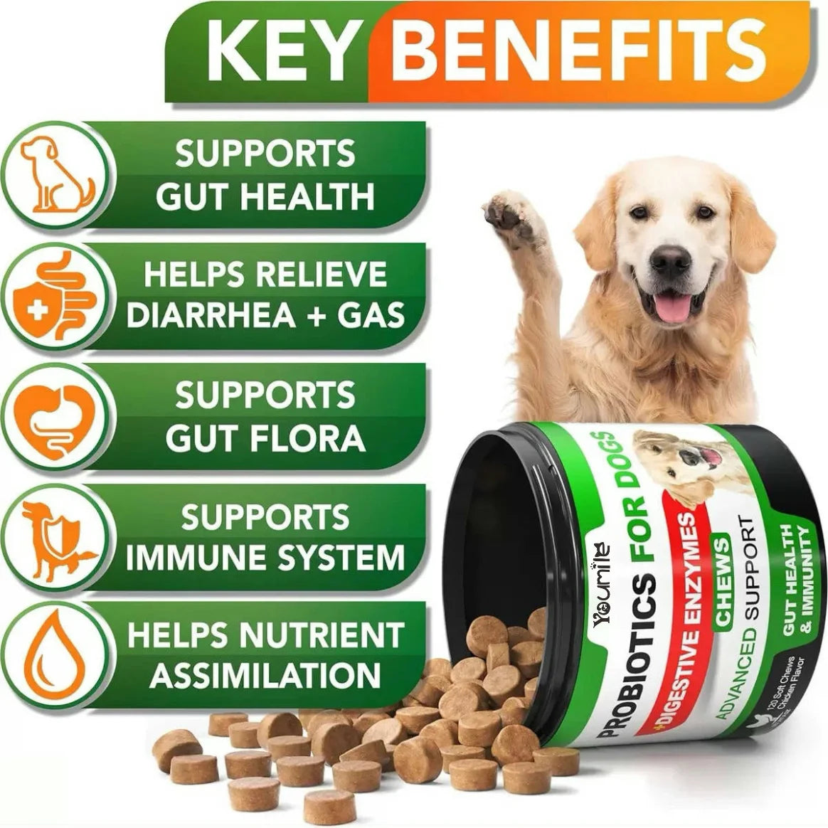 CURAPETS Digestive Support Probiotic Chews for Dogs