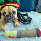 CURAPETS Plush Squeaky Cigar Dog Toy