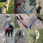 CURAPETS Reflective Training Leash