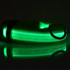 CURAPETS Luminous LED Night Safety Collar