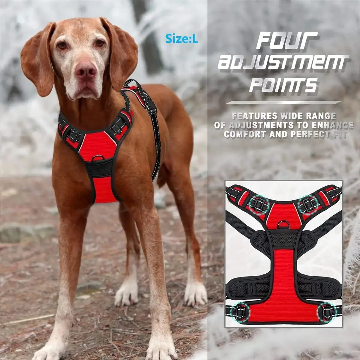 CURAPETS Leather Vest Harness & Leash Set