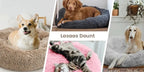 CURAPETS Plush Donut Calming Pet Bed