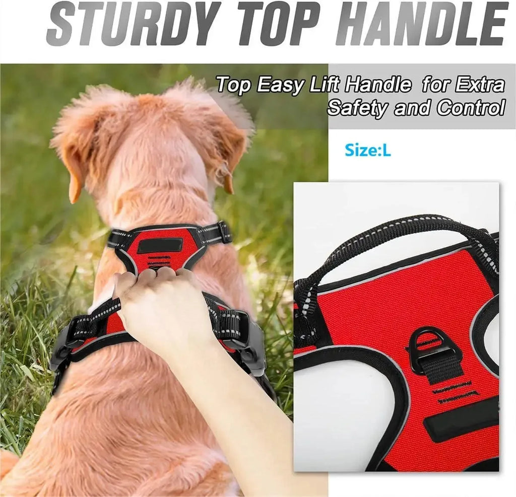 CURAPETS Leather Vest Harness & Leash Set