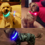 CURAPETS Luminous LED Night Safety Collar