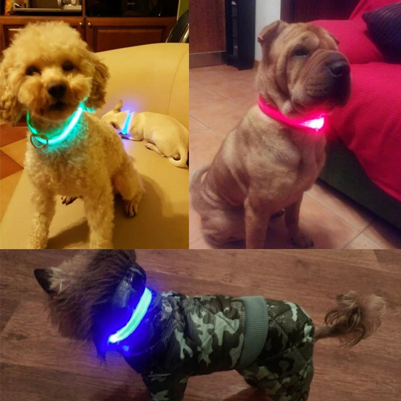 CURAPETS Luminous LED Night Safety Collar