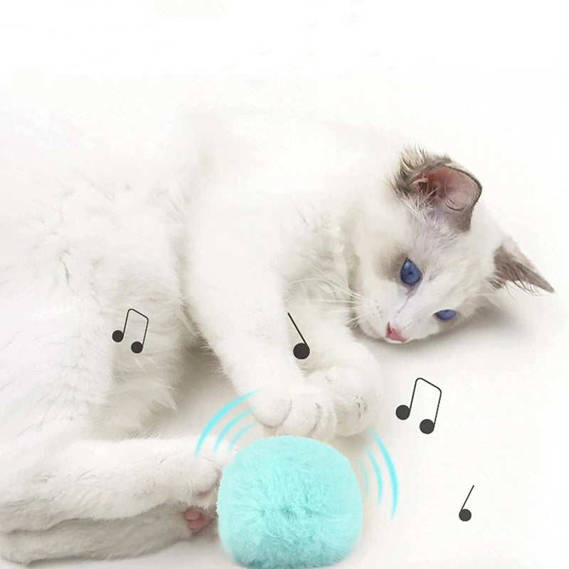 CURAPETS Smart Sounding Catnip Ball Toy