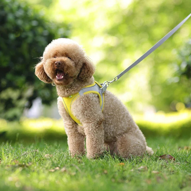 CURAPETS Reflective Puppy Harness & Leash Set