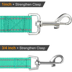 CURAPETS Night Reflective Training Lead Leash