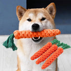 CURAPETS Carrot Rope Chew Toy