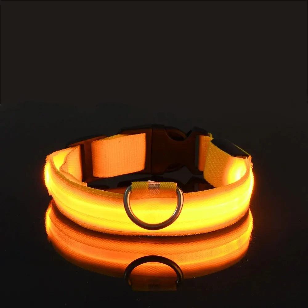 CURAPETS Luminous LED Night Safety Collar