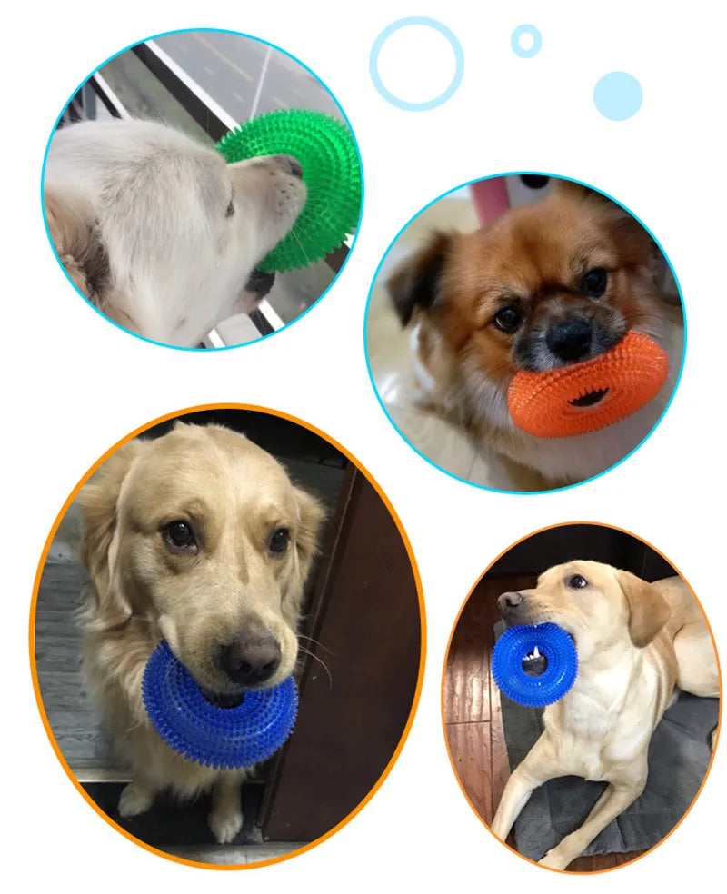 CURAPETS Squeaky TPR Molar Chew Toy