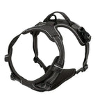 CURAPETS Leather Vest Harness & Leash Set