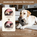CURAPETS Indestructible Frozen Treat Dog Toy