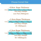 CURAPETS Reflective Rope Dog Leash