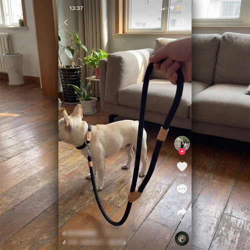 CURAPETS Braided Slip Rope Training Leash
