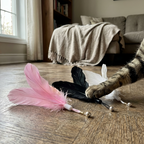 CURAPETS Premium Cat Teaser Wand Toy
