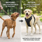 CURAPETS Leather Vest Harness & Leash Set