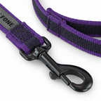 CURAPETS Dual-Color Long Training Leash