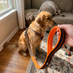 CURAPETS Reflective Comfort Mesh Leash