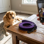 CURAPETS Dual-Color Long Training Leash