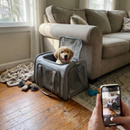 CURAPETS Claw-Defense Airline Pet Carrier