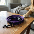 CURAPETS Dual-Color Long Training Leash