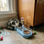 CURAPETS Anti-Tip Cat Bowl Feeder
