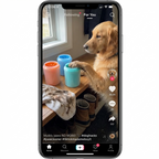 CURAPETS Premium Paw Cleaner Cup