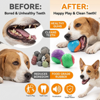 CURAPETS Squeaky TPR Dog Ball Toy