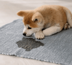 CURAPETS Premium Pet Stain & Odor Remover. Spray this to make years of stains, odors, & frustration vanish permanently